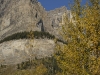 CA09_071